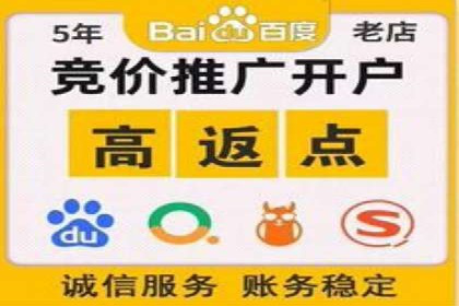 成功案例：百度推广代理助力电商突破